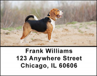 The Beagle Address Labels | LBBAM-84