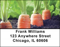 Organic Foods Address Labels | LBBAM-99