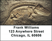 Dinosaur Bones & Fossils Address Labels | LBBAN-29
