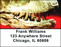 Dinosaur Bones & Fossils Address Labels | LBBAN-29