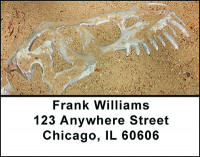Dinosaur Bones & Fossils Address Labels | LBBAN-29