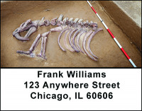 Dinosaur Bones & Fossils Address Labels | LBBAN-29