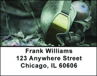 Military Combat Gear Address Labels | LBBAN-33