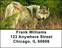 Wolves & Bears Address Labels | LBBAN-43