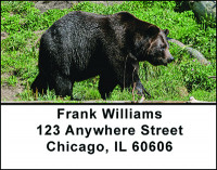 Wolves & Bears Address Labels | LBBAN-43
