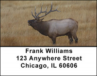 Deer Family of North America Address Labels | LBBAN-45