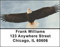 Predators Looking For Prey Address Labels | LBBAN-46