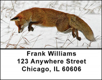 Predators Looking For Prey Address Labels | LBBAN-46