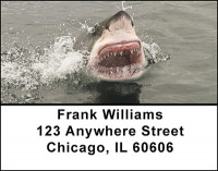 Shark Feeding Frenzy Address Labels | LBBAN-62