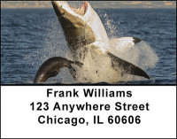 Shark Feeding Frenzy Address Labels | LBBAN-62