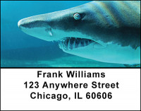 Shark Feeding Frenzy Address Labels | LBBAN-62