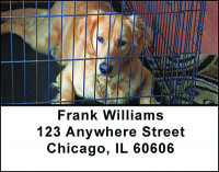 Pet Adoption Address Labels | LBBAN-63