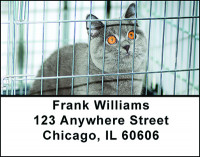 Pet Adoption Address Labels | LBBAN-63