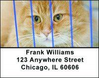 Pet Adoption Address Labels | LBBAN-63