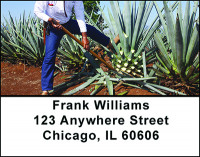 Travel To Mexico Address Labels | LBBAN-90