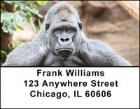 Wild Africa Address Labels | LBBAN-99
