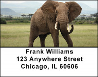 Wild Africa Address Labels | LBBAN-99