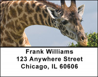 African Wildlife Address Labels | LBBAO-01