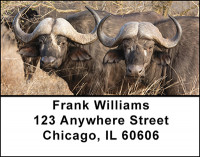 African Wildlife Address Labels | LBBAO-01