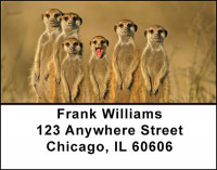 African Safari Address Labels | LBBAO-02