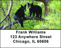 Adorable Bear Cubs Address Labels | LBBAO-03