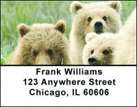 Adorable Bear Cubs Address Labels | LBBAO-03