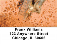 Motocross Dirt Bikes Address Labels | LBBAO-11