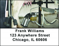 Milking Dairy Cows Address Labels | LBBAO-12