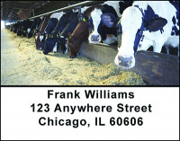 Milking Dairy Cows Address Labels | LBBAO-12