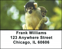 Adorable Monkeys Address Labels | LBBAO-17