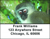 Adorable Monkeys Address Labels | LBBAO-17