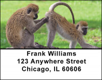 Monkey Business Address Labels | LBBAO-18