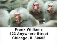 Monkey Business Address Labels | LBBAO-18