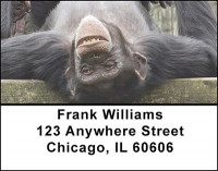 Monkey Business Address Labels | LBBAO-18
