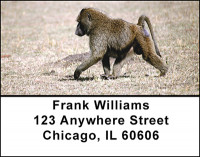 Monkey Business Address Labels | LBBAO-18