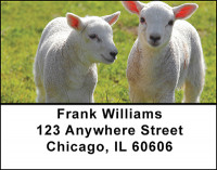 Baby Lambs Address Labels | LBBAO-19
