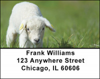 Baby Lambs Address Labels | LBBAO-19