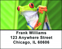 Froggy The Tree Frog Address Labels | LBBAO-23