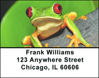 Froggy The Tree Frog Address Labels | LBBAO-23