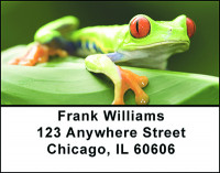Froggy The Tree Frog Address Labels | LBBAO-23