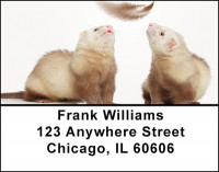 Ferret Mischief Address Labels | LBBAP-63