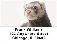 Ferret Mischief Address Labels | LBBAP-63