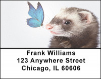 Ferret Curiosity Address Labels | LBBAP-65