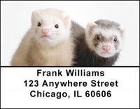 Ferret Curiosity Address Labels | LBBAP-65