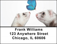 Ferret Curiosity Address Labels | LBBAP-65