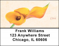 Calla Lily Blossoms Address Labels | LBBAP-94