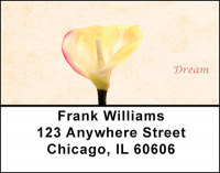 Calla Lily Blossoms Address Labels | LBBAP-94