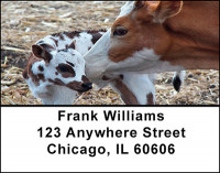 Baby Calves Address Labels | LBBAQ-02