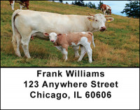 Baby Calves Address Labels | LBBAQ-02