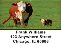 Baby Calves Address Labels | LBBAQ-02